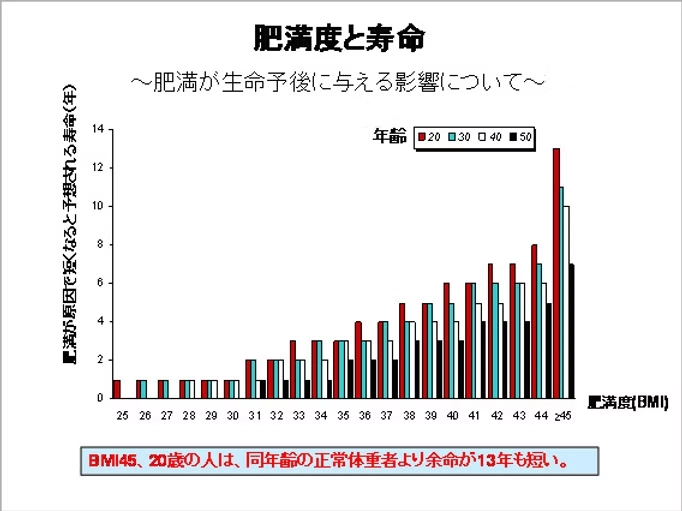 肥満度と寿命