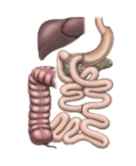 図1